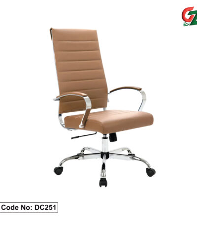 Director Chair