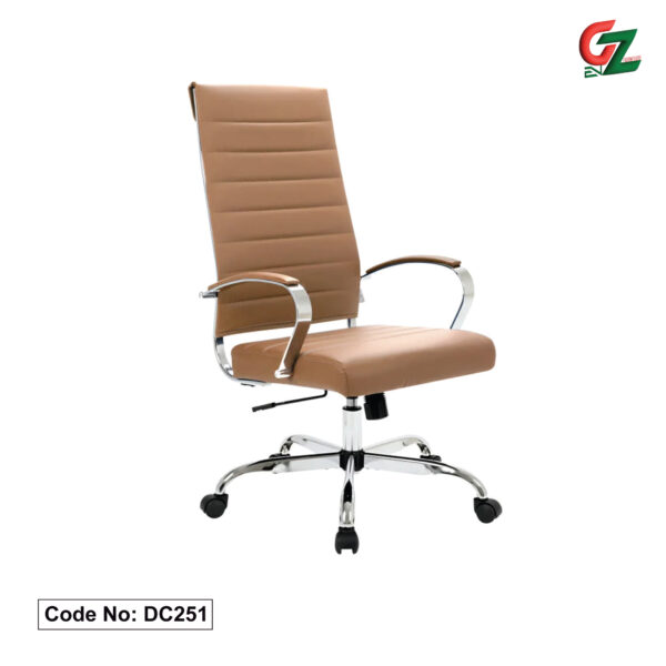 Director Chair