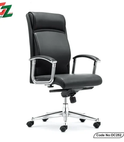 Director-Chair